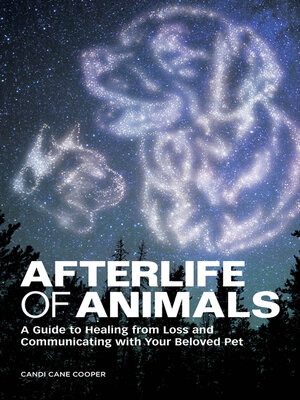 cover image of Afterlife of Animals